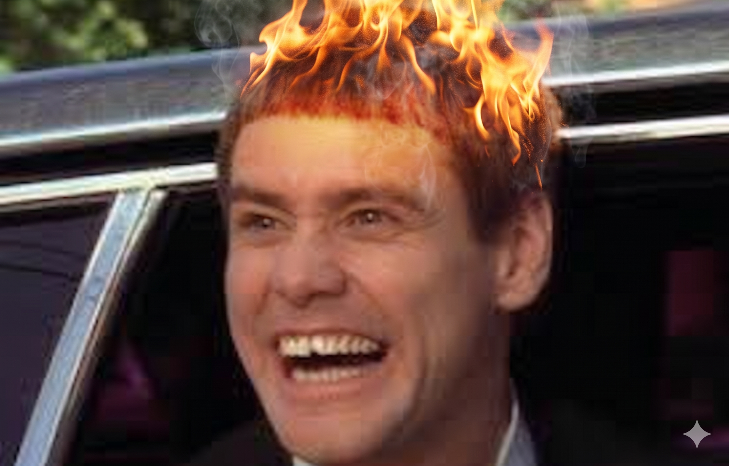 I want to be a BURNING MULE PBC, here's my Money